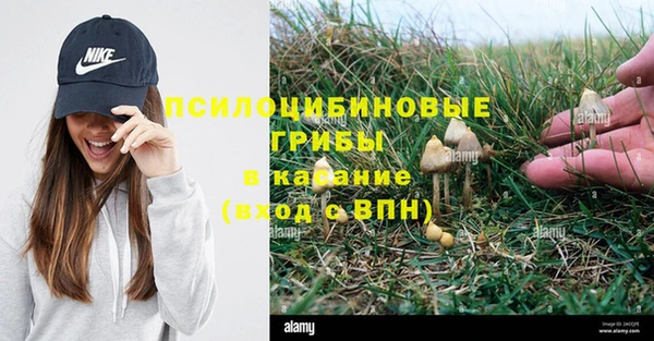 соль курить ск Алексин