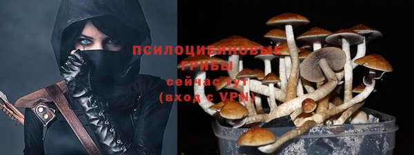 дурь Алзамай
