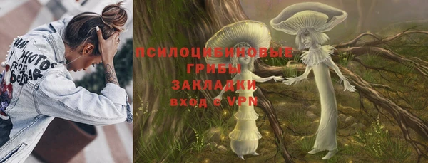 дурь Алзамай